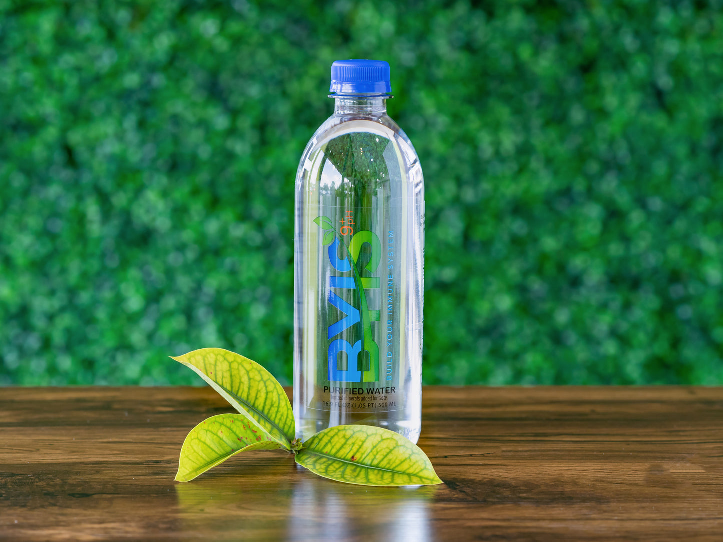 BYIS Alkaline Water 12-Pack