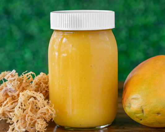 Premium Ginger-Turmeric Sea Moss Gel