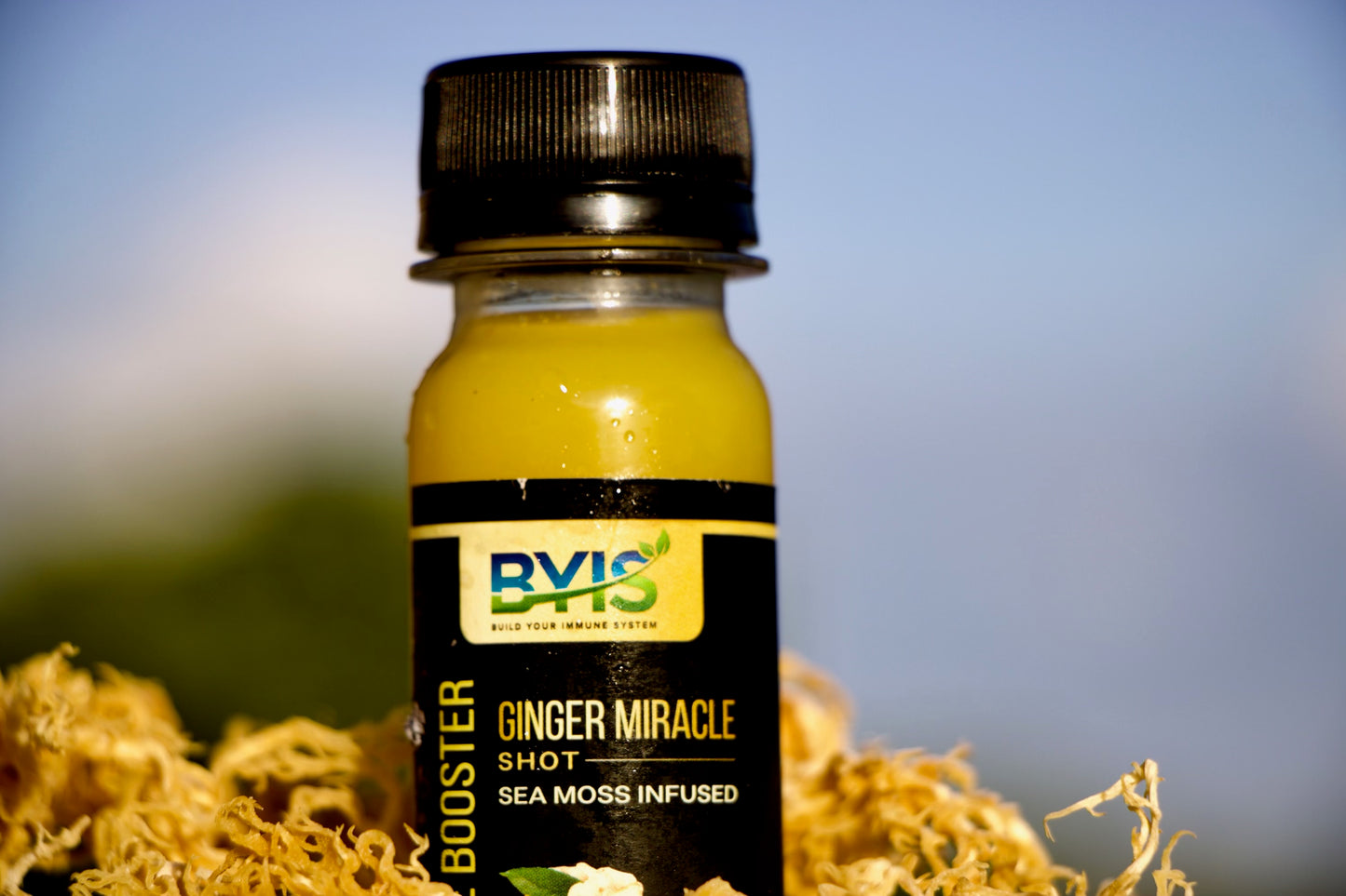 BYIS Ginger Miracle Shot: Your Natural Health Powerhouse!