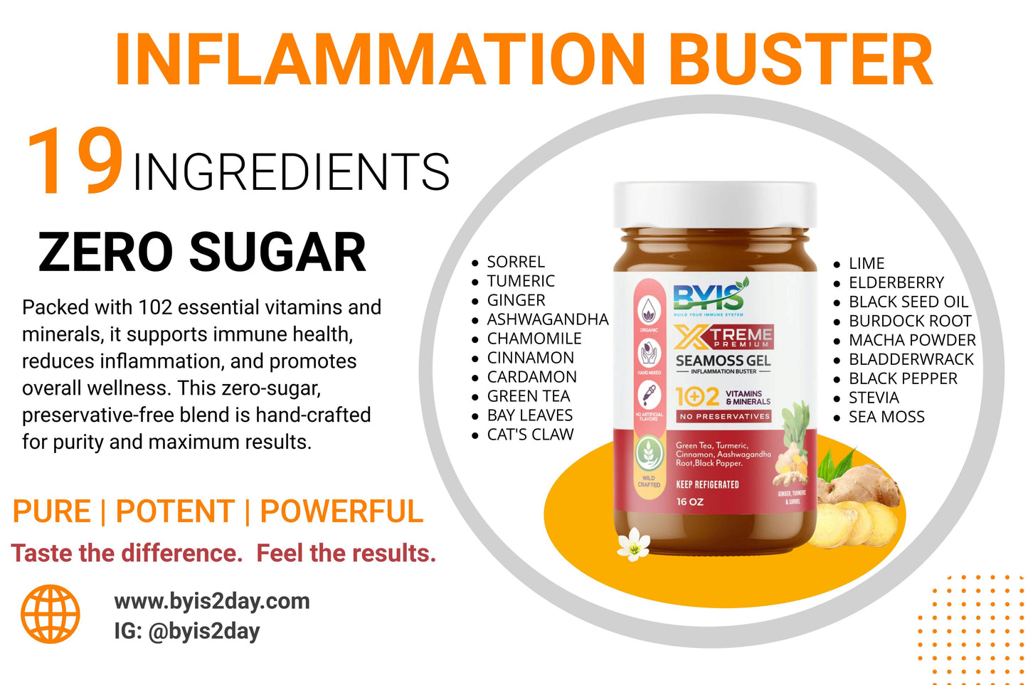 BYIS Inflammation Buster Sea Moss Gel